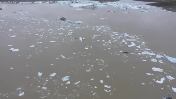 Grönland Daki Hızlı Eriyen Buzulların Buzulların Iklim Değişikliği Küresel Isınma — Stok video
