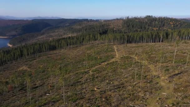 Odlesňování Těžby Dřeva Průmyslové Oblasti Shora Letecký Pohled — Stock video