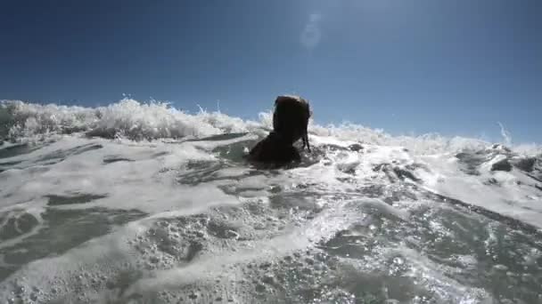 Vue au ralenti de puissantes vagues de mer éclaboussant un corps de femme gai