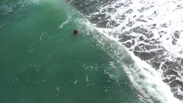 Vue Aérienne Ralenti Une Femme Nageant Dans Mer Sur Une — Video