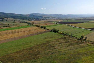 Saman tarlası, buğday tarlası. İnsansız hava aracıyla güzel tarım arazisi
