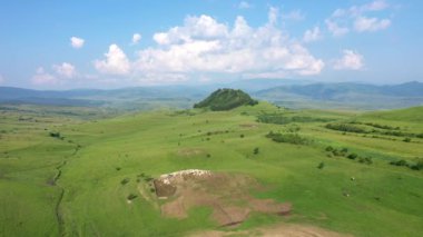 Otlaktaki Koyun Sürüsünün Yüksek Açı Görünümü