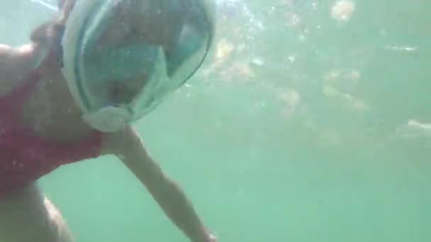 용감한 스노클링과 바다에서 마스크 전망으로 — 비디오