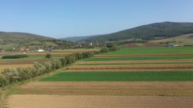 Tarım alanının insansız hava aracı görüntüsü, insansız hava aracı tarafından gıda endüstrisi konsepti