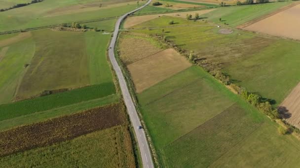 無人機による農業分野の車の後を追う田舎道の上を飛ぶ — ストック動画