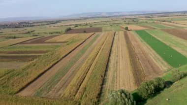 Tarım alanının insansız hava aracı görüntüsü, insansız hava aracı tarafından gıda endüstrisi konsepti