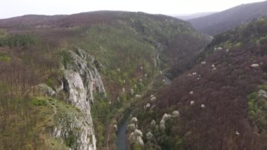  Vadinin ve nehrin üzerinde uçuyor.