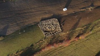 Sonbaharda koyun sürüsüyle dolu bir koyun ağılının üzerinde uçmak. Kırsal bir tarım arazisinin hava aracı görüntüsü