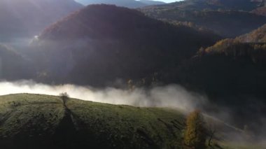 Dağ kulübesinin drone görüntüsü. Sonbaharda, sazdan çatısı olan terk edilmiş evlerle birlikte havanın sisli manzarası. Transilvanya, Romanya