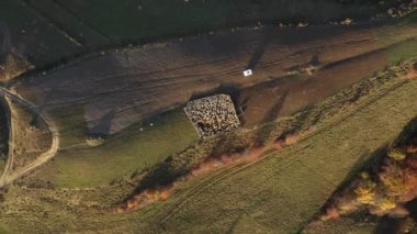 Sonbaharda koyun sürüsüyle dolu bir koyun ağılının üzerinde uçmak. Kırsal bir tarım arazisinin hava aracı görüntüsü