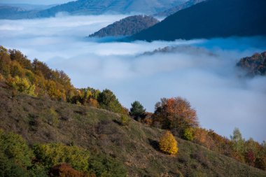 Sonbaharda vadide puslu bir sabah sisi. Renkli sonbahar manzarası