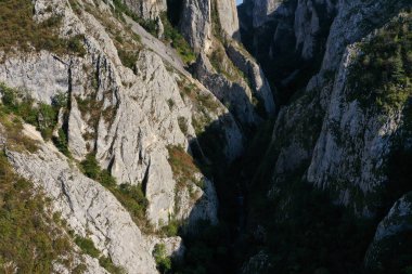 Kireçtaşından derin bir vadi olan kanyonun havadan görünüşü. Cheile Turzii, Romanya