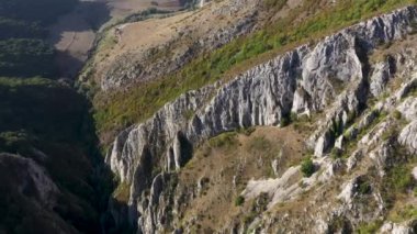 Kireçtaşından derin bir vadi olan kanyonun havadan görünüşü. Cheile Turzii, Romanya