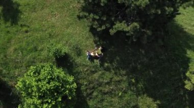 Baba ve çocukların açık hava babalık kavramında bir bankta oturması.