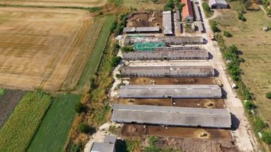 Biyolojik çiftliğin üzerinde uçmak, kırsal ahır, hangarlar, süt inekleri, biyo tarlalar, antenler. 