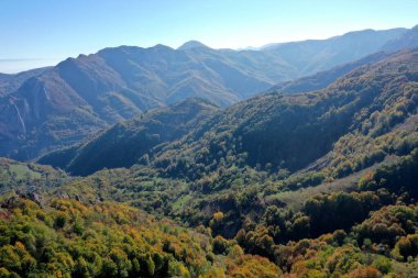 Sonbaharda insansız hava aracı tarafından kaplanmış rengarenk sonbahar ormanlarının havadan görünüşü