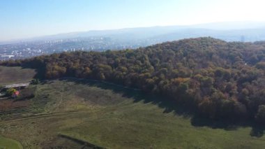 Şehri çevreleyen ormanın havadan görünüşü. Cluj Napoca, Romanya İHA ile
