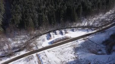  Yeni kesilmiş çam ağacı gövdeleri üzerinde uçan yığın kütük endüstrisi hava görüntüsü