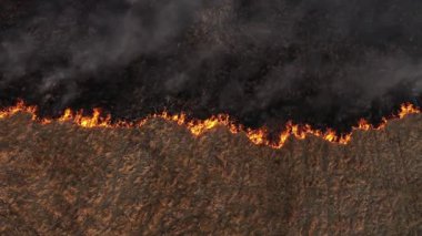 Yavaş çekim hava manzarası yaylı kuru çimenlerin yandığı alan. Ateş, çayır dumanı, kirlilik