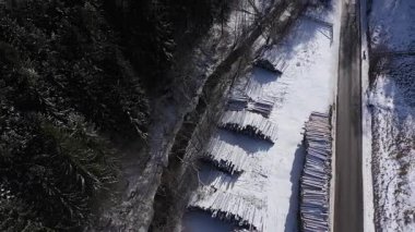 Orman yok etme endüstrisi. Orman yolunun yakınındaki ağaç kütüklerinin hava manzarası