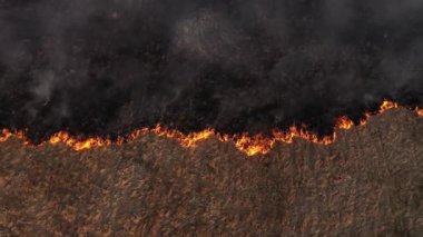 Yavaş çekim hava manzarası yaylı kuru çimenlerin yandığı alan. Ateş, çayır dumanı, kirlilik