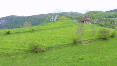 İlkbaharın yeşil tarım arazisinin havadan görünüşü, dağlardaki kır kulübesi, insansız hava aracı tarafından.