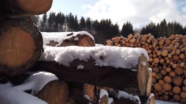 Orman yok etme endüstrisi. Ağaç günlük yığınları istiflendi