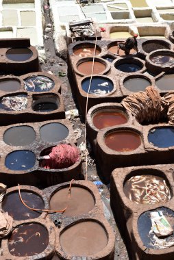 FEZ, MOROCCO - 31 Mayıs 2025: Chouara Tannery 'de deri döken işçiler, farklı renklerde boya ve beyaz sıvılarla dolu sayısız taş fıçı