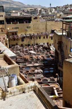 FEZ, MOROCCO - 31 Mayıs 2025: Chouara Tannery 'de deri döken işçiler, farklı renklerde boya ve beyaz sıvılarla dolu sayısız taş fıçı