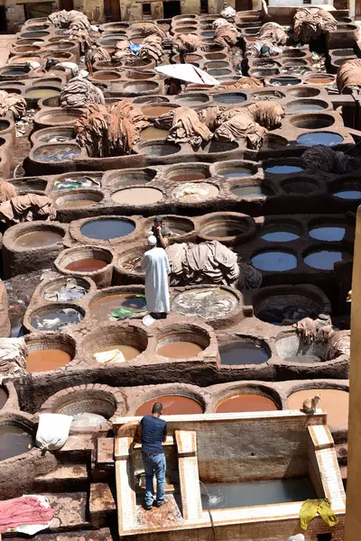 FEZ, MOROCCO - 31 Mayıs 2025: Chouara Tannery 'de deri döken işçiler, farklı renklerde boya ve beyaz sıvılarla dolu sayısız taş fıçı
