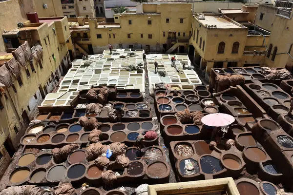 FEZ, MOROCCO - 31 Mayıs 2025: Chouara Tannery 'de deri döken işçiler, farklı renklerde boya ve beyaz sıvılarla dolu sayısız taş fıçı