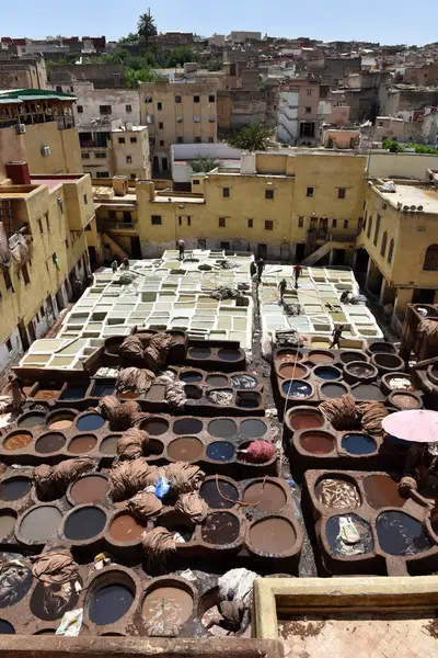 FEZ, MOROCCO - 31 Mayıs 2025: Chouara Tannery 'de deri döken işçiler, farklı renklerde boya ve beyaz sıvılarla dolu sayısız taş fıçı