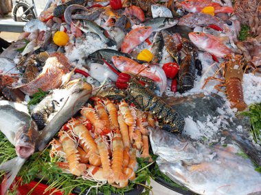 Essaouira balık pazarı, Fas, çeşitli balık ve diğer deniz organizmaları.