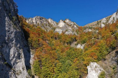 Kireçtaşı dağlarının ve sonbahar ormanlarının insansız hava aracı tarafından havadan görünüşü