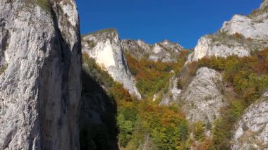 Güneşli sonbahar dağlarının tepelerinde ve renkli ormanlarda İHA 'larla uçuyor.