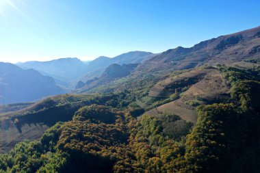Sonbaharda insansız hava aracı tarafından kaplanmış rengarenk sonbahar ormanlarının havadan görünüşü