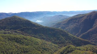 Sonbaharda renkli yaprak döken ormanın havadan görünüşü