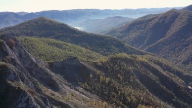 Sonbaharda renkli yaprak döken ormanın havadan görünüşü