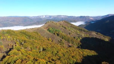 Sonbahar sisli orman tepe örtüsünün aşağı havadan görünüşü 