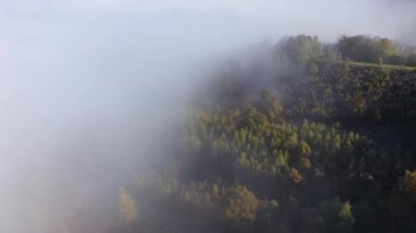 Renkli sonbahar ormanı tepe örtüsünün üzerindeki sabah sisinin havadan görünüşü