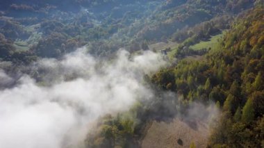 Renkli sonbahar ormanı tepe örtüsünün üzerindeki sabah sisinin havadan görünüşü