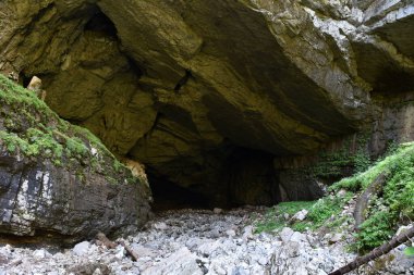 Muazzam mağara girişi. Coiba Mare mağarası, Romanya