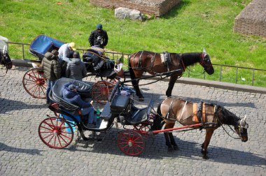 ROME, ITALY - 15 Mart 2016: Colosseum, Roma, İtalya 'nın önünde turistleri bekleyen botticelle adlı at arabaları
