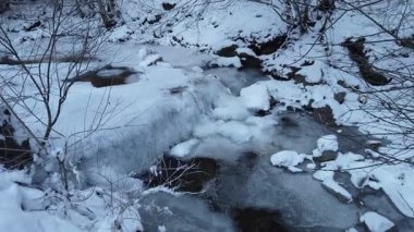 Nehir kışın buzun altında akıyor. Aşırı soğuk havada dağ ormanlarında donmuş dere