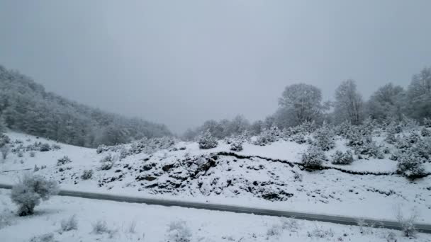 走进一个迷人的冬季仙境 靠近希腊弗洛里纳 在维吉拉山 用这个迷人的无人机镜头 摄像机捕捉到了在大雪中的一条美丽的雪路 — 图库视频影像