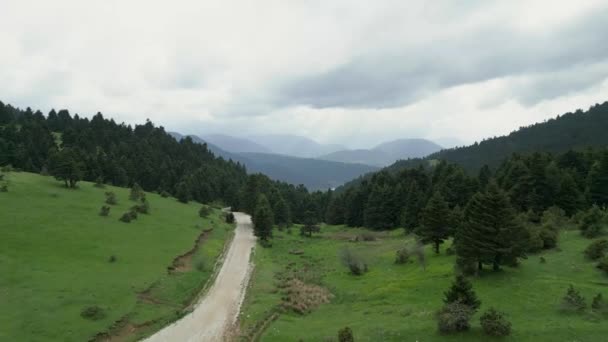 Embarque Uma Viagem Cativante Pelas Florestas Tranquilas Karpenissi Grécia Com — Vídeo de Stock