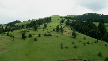 Yunanistan 'ın büyüleyici Karpenissi bölgesindeki görkemli köknar ağaçlarıyla süslenmiş görkemli bir tepeye nefes kesici bir hava yolculuğuna çıkan görkemli bir gemiye binin. Doğanın güzelliğine tanık olun.