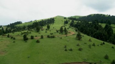 Yunanistan 'ın büyüleyici Karpenissi bölgesindeki görkemli köknar ağaçlarıyla süslenmiş görkemli bir tepeye nefes kesici bir hava yolculuğuna çıkan görkemli bir gemiye binin. Doğanın güzelliğine tanık olun.