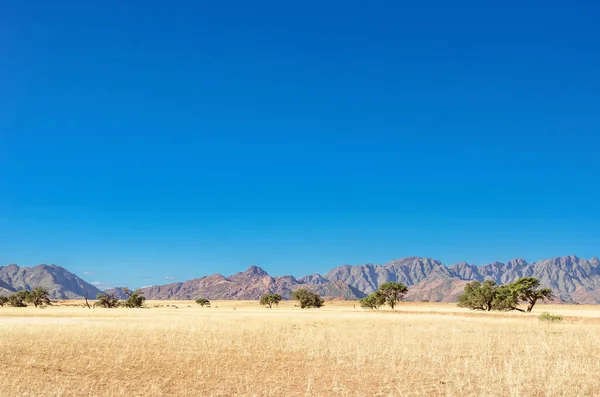 Afrikanische Savannenlandschaft Savanne Wildes Grasland Mit Bergen Hintergrund Namibia Südafrika lizenzfreie Stockbilder
