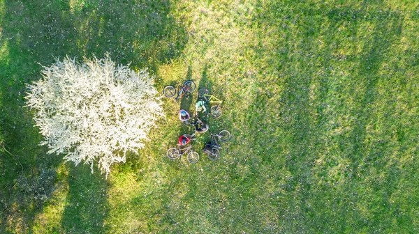 Frühling Familienradfahren Auf Fahrrädern Drohnenblick Von Oben Fröhliche Aktive Eltern — Stockfoto